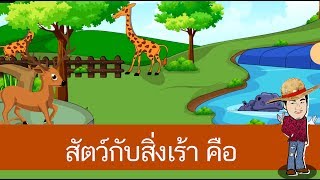 สื่อการเรียนการสอน ความสำคัญต่อการตอบสนองต่อสิ่งเร้าของสัตว์ป.4วิทยาศาสตร์