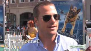 Chris O\'Donnell Interview (3) with DOG NEWS DAILY 