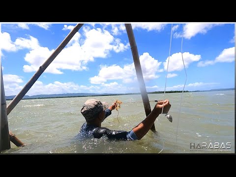 EP632-Part 1 - Panghuhuli ng Malabanos Gamit ang Kitang at Lambo | Occ. Mindoro