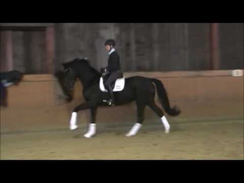 5 j. Stute v. Bretton Woods x Dimaggio