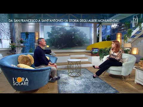 L'Ora Solare (TV2000) 20 febbraio 2024 - Filippo Tigli, Elena Palazzini e Margherita Volpini