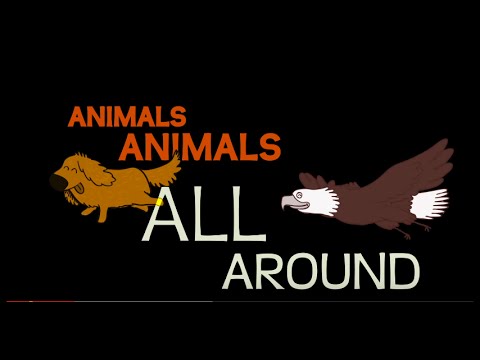 Animals All Around  by Music In Action