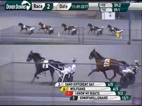 Wolfgang - Nov. 09, 2017 - Matron Stakes at Dover Downs