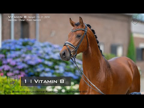 Katalognr. 1 Vitamin B