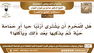 [1284 -3022] هل للمحرم أن يشتري أرنبا حياً أو حمامة حية ثم يذكيها بعد ذلك ويأكلها؟ image