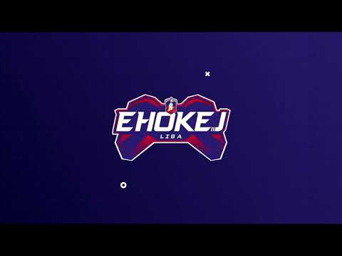 HIGHLIGHTS 10 kolo LM SLV