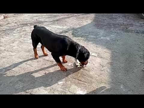 Happy birthday to mark