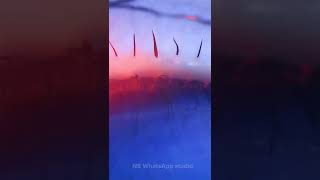 Download lagu respect snake girls short WhatsApp status lovely tiktok for Battle Through the Heavens status π₯°BTTH mp3 Download lagu respect snake girls short WhatsApp status lovely tiktok for Battle Through the Heavens status π₯°BTTH mp3