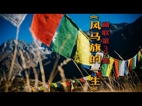 《风马旗的一生》：一场关于祝福与归宿的生命仪式。A life ritual about blessings and destiny.