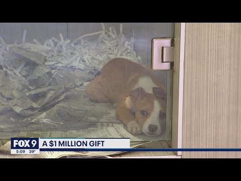 Animal Humane Society receives $1 million donation I KMSP FOX 9