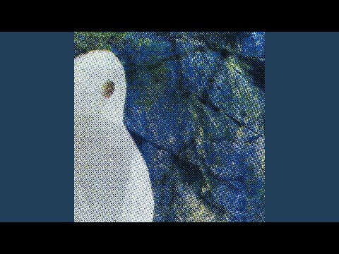 Barkley Cove video