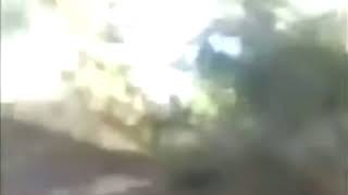 victor victor victor victor