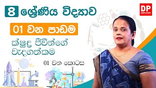 01 වන පාඩම (ක්ෂුද්‍ර �