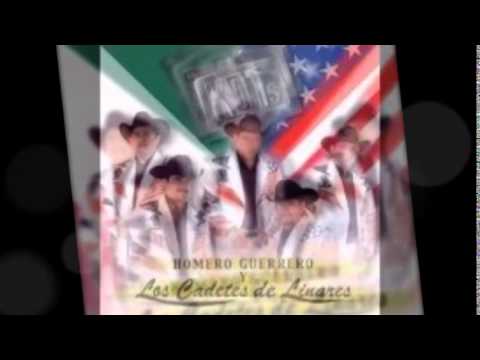 Homero Guerrero JR y sus KDTs de linares caballo fiel