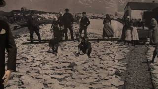 Vikin - Sjominjasafnid