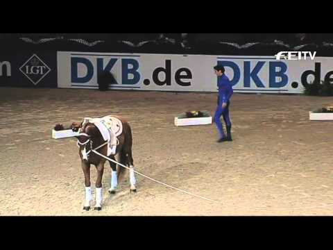 FEI World Cup Vaulting - Munich, Top 3 Males