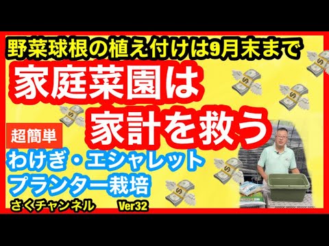 エシャロットを植える：どうやって植えるの？どの品種を選ぶべきですか？  庭園