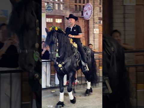 🐴 Caballos impresionantes en Villeta Cundinamarca 🇨🇴 #culturas4K #women #horses #colombia