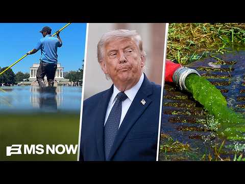 Trump’s reflecting pool makeover FAILS in spectacular fashion