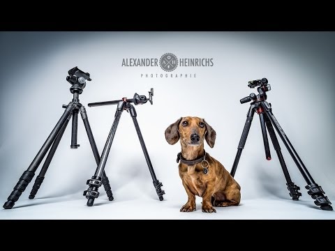 Stative  - ah-photo video 131