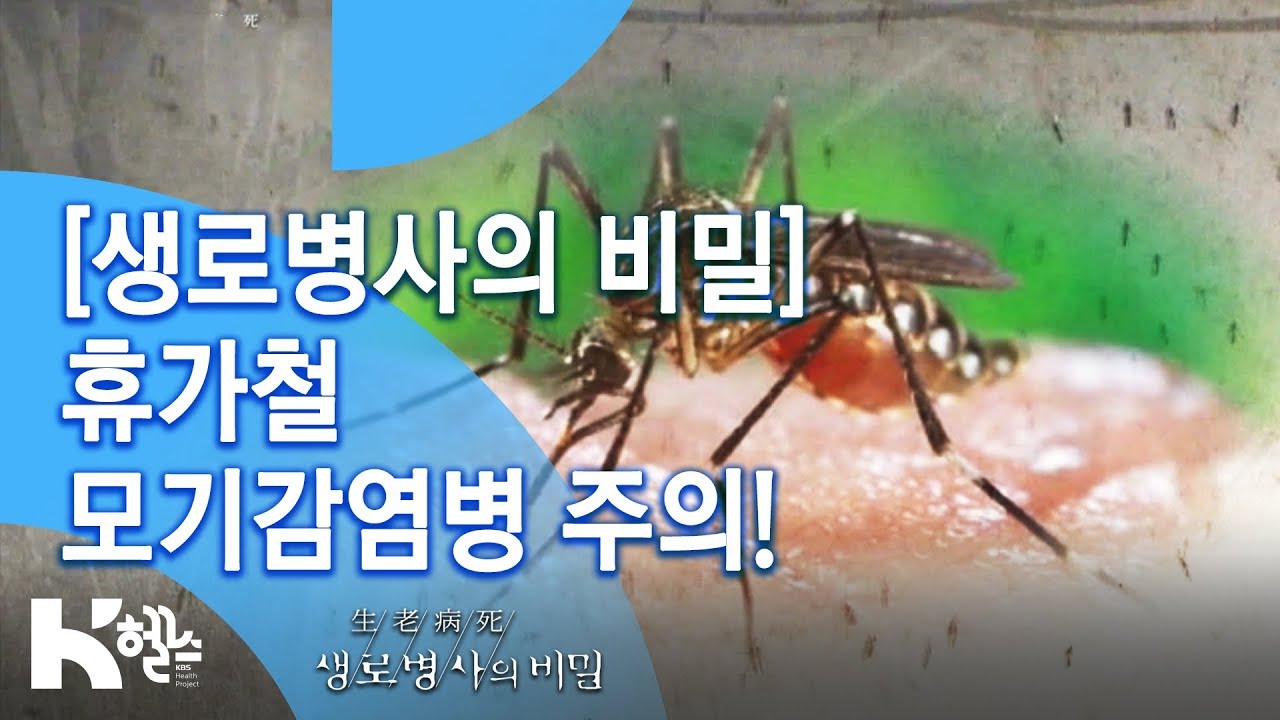 [생로병사의 비밀] 휴가철 모기감염병 주의! (2015.7.29. 551회) I 여름불청객 모기퇴치법 싹 모…