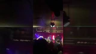 Cabbage, The Magnet Liverpool ‘ Dinner Lady’