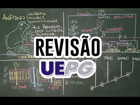 Revisão de Biologia UEPG! Vestibular de inverno 2017