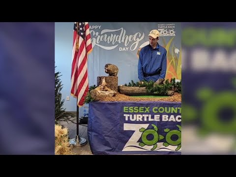 NJ Groundhog Day 2023