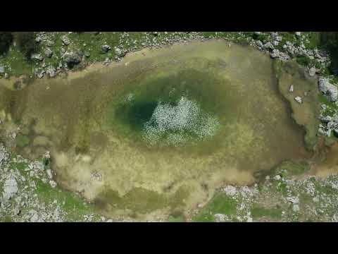 Žabljak Municipality