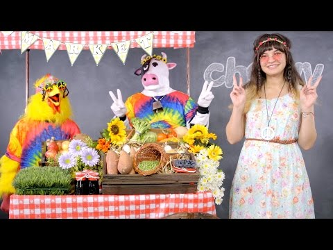 Nature's Variety Instinct Raw Market Dog Food