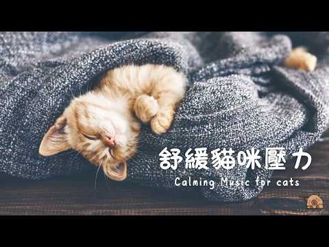 舒緩貓咪壓力的音樂🐈 ｜安撫情緒、減輕壓力，幫助放鬆與深度睡眠｜貓咪抗焦慮與深度放鬆音樂｜Relaxing & Calming Music for cats