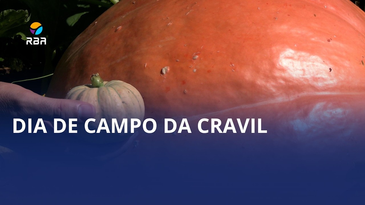 Do gigante ao mini: contraste chama atenção no hortifruti