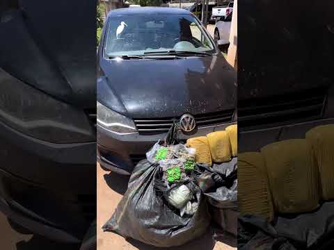 FLAGRANTE NA BR 262: PRF Apreende Quase 48 kg de Skunk em Anastácio