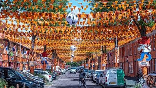 Hollanda'da Lahey'deki Marktweg, Dünya Kupası coşkusuyla turuncuya büründü
