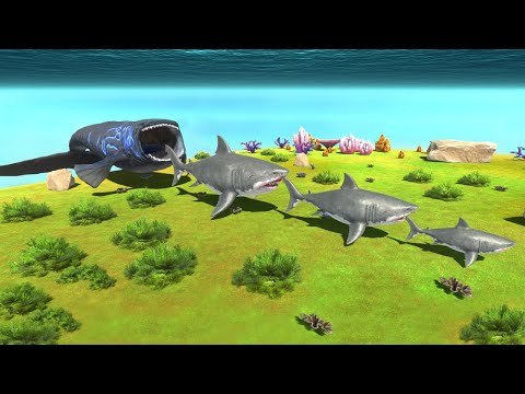Bloop vs Small to Big Megalodon | Animal Revolt Battle Simulator