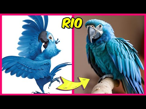 RIO 2 Characters In Real Life 💙🕊️✨ + Their Favorite Snacks, Movies, Drinks & More! | Blu, Jewel