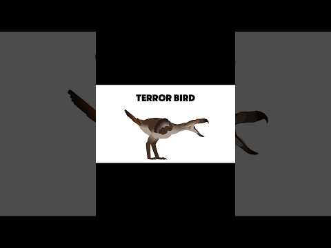 The sounds that The DODO and Terror Bird could've made..💀#sticknodes  #lifeonotherplanets #birds