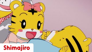Hannah and the Baby 🐯 | Family | 24 Minute Compilation | Kids video for Kids | Shimajiro