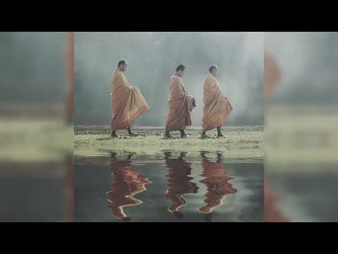 Joseph Goldstein – Insight Hour – Ep. 62 – The Satipatthāna Sutta: Mindfulness in Motion