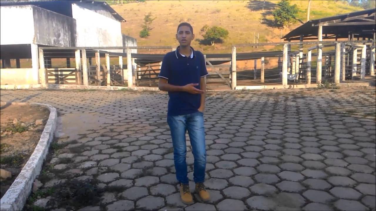 A Extensão Rural e o papel do Extensionista