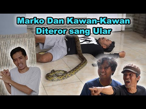 Marko dan Kawan-Kawan Diteror Sang Ular