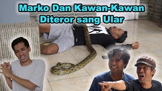 Download lagu Marko dan Kawan-Kawan Diteror Sang Ular mp3