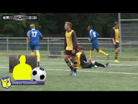 Samenvatting Veluwezoom - VVO