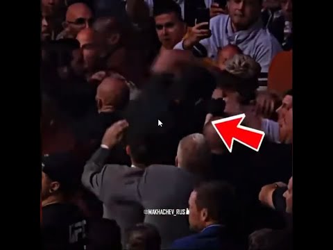 Islam Makhachev smashing Dillon Dannis