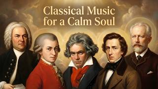 50 самых красивых классических фортепианных произведений — Моцарт, Шопен, Бетховен, Чайковский