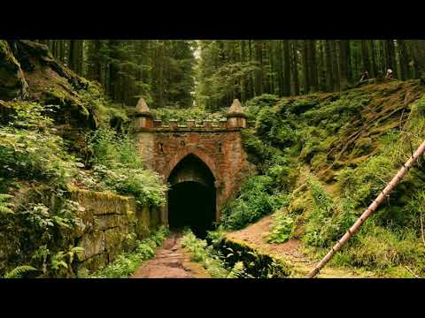 night at the eolian (kingkiller chronicle/medieval fantasy playlist with ambient noise)