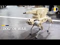 This Chinese-made robot dog is a combat specialist