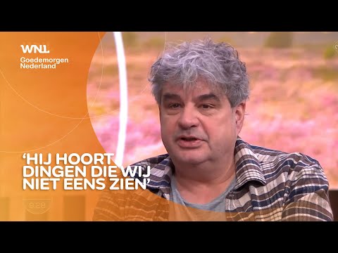 Frank Lammers shines as a detective in a new series with a blind protagonist