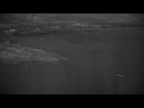 Djuma: Fish surfacing the water, Water Thick-knees and Blacksmith Lapwing - 03:55 - 11/08/2022