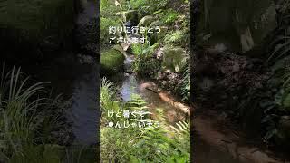 涼みたいシリーズ #癒し #自然の音